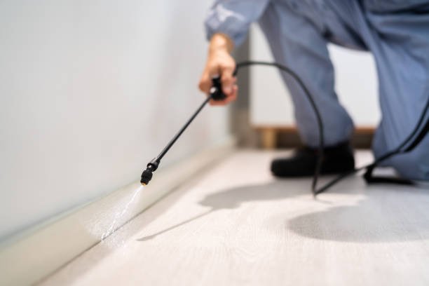 Licensed Cockroach Control service in Woodlawn Beach, FL - Nex Pest Control