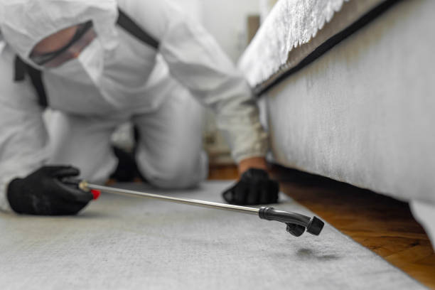 Professional Cockroach Control technician working in Woodlawn Beach, FL