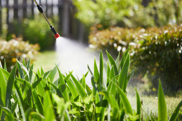 24/7 Emergency Cockroach Control experts in Woodlawn Beach, FL