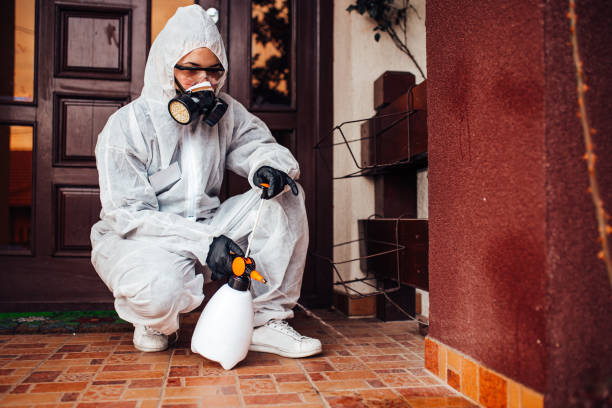 Reliable Cockroach Control contractor in Woodlawn Beach, FL by Nex Pest Control