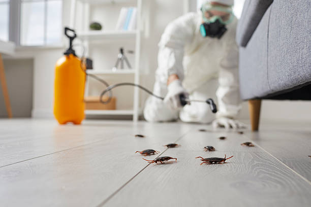 Trusted Fumigation Services service in Woodlawn Beach, FL - Nex Pest Control